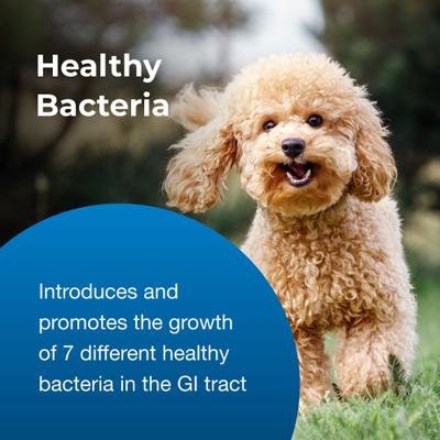 PetAg, Bene-Bac Plus Pet Gel, 7 Probiotics + FOS, para Perros y Gatos, 15 g.