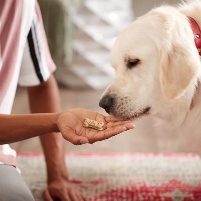Galletas crujientes para perros bañadas en yogur de vainilla, bolsa de 12 oz, caja de 4