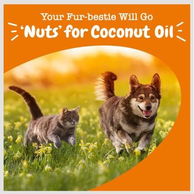Aceite de Coco Orgánico para Piel, Pelaje y Digestión de Perros 453 g