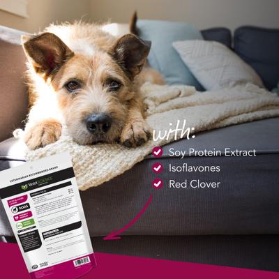 Vetri Bladder Soft Chews - Suplemento urinario para perros (60 unidades)
