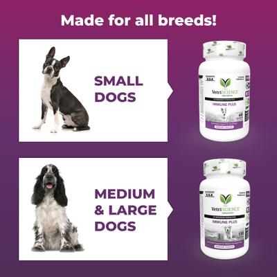Immune Plus - Refuerzo inmunológico para perros pequeños, 60 unidades