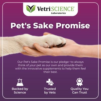 Immune Plus - Refuerzo inmunológico para perros pequeños, 60 unidades