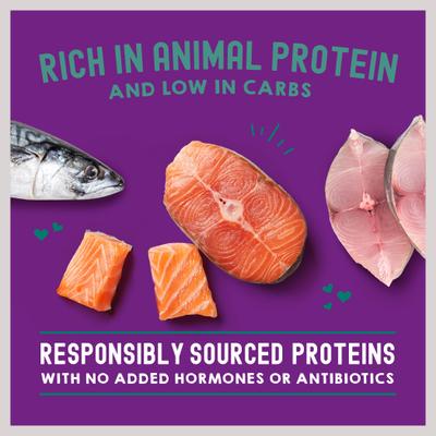 Alimento Húmedo Carnivore Cravings Morsels N Gravy para Gato sabor Salmón y Macarela 12 pack