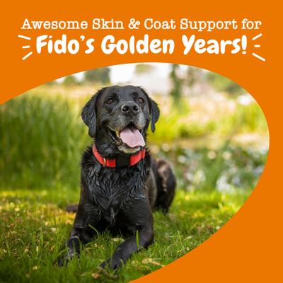 Senior Advanced Skin & Coat para Piel y Pelaje de Perros sabor Pollo 90 chews