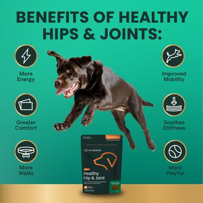 GlycoFlex 2 - Masticables para la salud de las caderas y articulaciones con sabor a pollo, con glucosamina y suplemento de mejillón de labios verdes para perros, 120 unidades