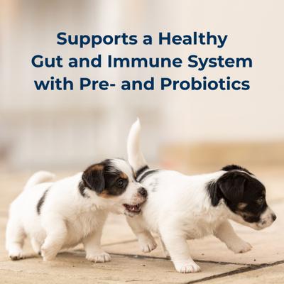 PetAg, PetLac Powder for Puppies, FOS + Probiotics, 300 g.