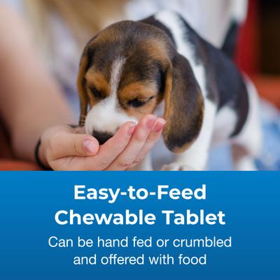 PetAg, Calcium Phosphorus Tablets, Calcium + Phosphorus, para Perros y Gatos, 50 tabletas masticables.