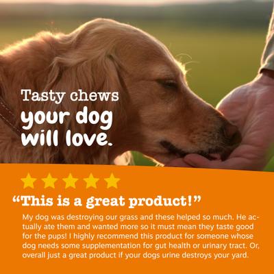 Stay Green Bites Neutralizador de Orina y Digestivo para Perros 2 presentaciones