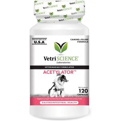 Cápsulas Acetylator, suplemento digestivo para gatos y perros, 120 unidades