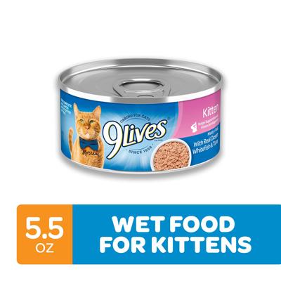 9Lives, Kitten Paté, pescado de mar + atún, 156 g × 4 / 24 latas.
