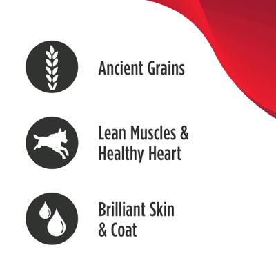 Nulo, Savory Stews Ancient Grains Chicken, Tilapia & Duck, Pollo + Tilapia + Pato + Calabaza + Quinoa Roja en Caldo, Cachorros y Adultos, 170 g × 8 latas