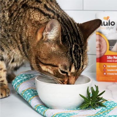 Nulo, FreeStyle Silky Mousse Chicken & Salmon, mousse húmedo sin granos para gatos, Pollo + Salmón, 79 g × 24 bolsas