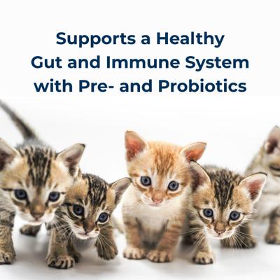 PetAg, PetLac Powder for Kittens, FOS + Probiotics, 300 g.
