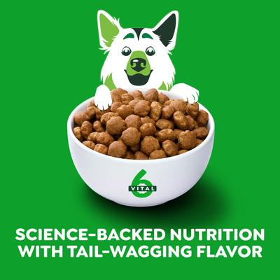 Alimento Seco para Perros Adultos de Razas Grandes, alto contenido proteico, pollo real y arroz