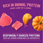 Alimento Húmedo Carnivore Cravings Savory Shreds para Gato sabor Atún y Calabaza 24 pack