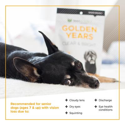 Suplemento masticable transparente y brillante con sabor a pollo Golden Years para perros, 60 unidades