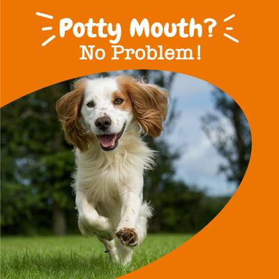 Chew No Poo Ancient Elements para Coprofagia de Perros sabor Bisonte 90 chews