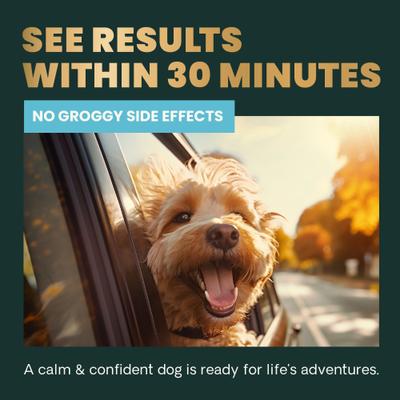 Composure Calm & Confident - Masticables con sabor a pollo clínicamente probados, suplemento calmante y para la ansiedad para perros, 15 unidades