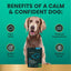 Composure Calm & Confident - Masticables con sabor a pollo clínicamente probados, suplemento calmante y para la ansiedad para perros, 15 unidades