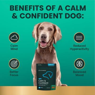 Composure Calm & Confident - Masticables con sabor a pollo clínicamente probados, suplemento calmante y para la ansiedad para perros, 15 unidades