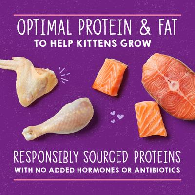Alimento Húmedo Carnivore Cravings Savory Shreds para Gato 24 pack 79 gr. Chicken & Turkey