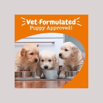 Reemplazo de Leche con Calostro para Cachorros y Perros Senior 338 g