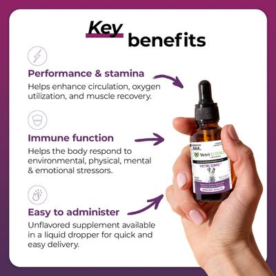 Vetri-DMG - Suplemento inmunológico líquido para perros, gatos y aves (28 ml)