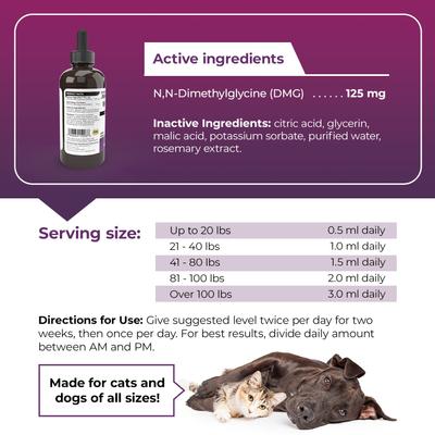 Vetri-DMG - Suplemento inmunológico líquido para perros, gatos y aves (28 ml)