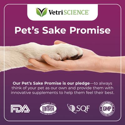 Vetri-DMG - Suplemento inmunológico líquido para perros, gatos y aves (28 ml)