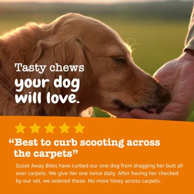Scoot Away Bites Digestivos para Perros sabor Pollo 2 presentaciones
