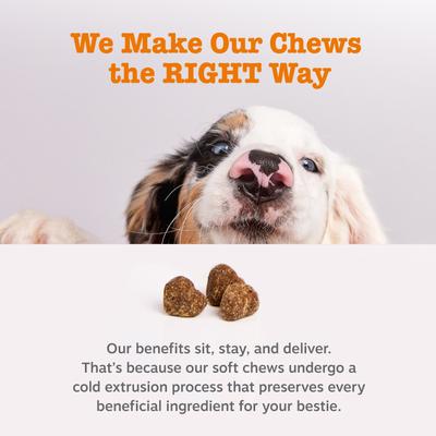 Scoot Away Bites Digestivos para Perros sabor Pollo 2 presentaciones