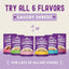 Alimento Húmedo Carnivore Cravings Savory Shreds para Gato sabor Salmón y Macarela 24 pack