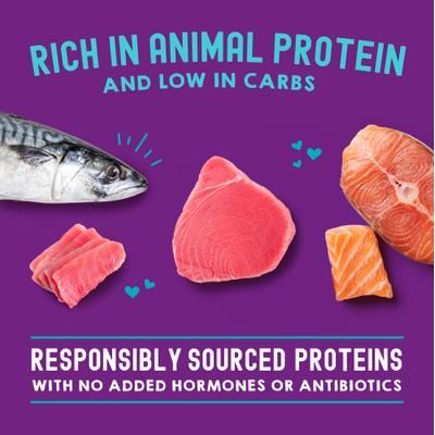 Alimento Húmedo Carnivore Cravings Savory Shreds para Gato sabor Salmón y Macarela 24 pack