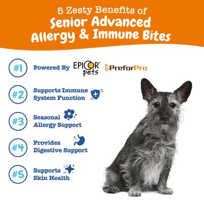 Senior Advanced Allergy & Immune para Piel e Inmunidad de Perros sabor Salmón 2 presentaciones