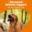 Senior Advanced Allergy & Immune para Piel e Inmunidad de Perros sabor Salmón 2 presentaciones