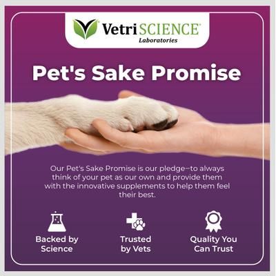 Immune Plus - Refuerzo inmunológico para perros, 120 comprimidos