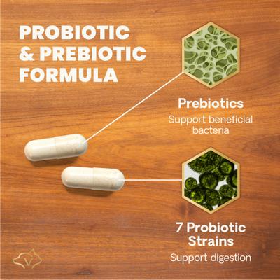 Cápsulas de fácil apertura para la salud intestinal, probióticos y prebióticos extra fuertes, suplemento digestivo para perros y gatos, 120 unidades