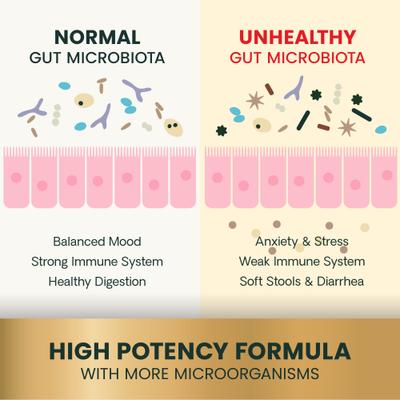 Cápsulas de fácil apertura para la salud intestinal, probióticos y prebióticos extra fuertes, suplemento digestivo para perros y gatos, 120 unidades