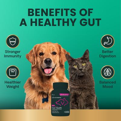 Cápsulas de fácil apertura para la salud intestinal, probióticos y prebióticos extra fuertes, suplemento digestivo para perros y gatos, 120 unidades