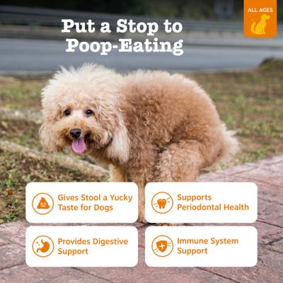 Chew No Poo Bites Digestivos para Coprofagia de Perros sabor Pollo 3 presentaciones