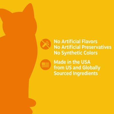 Urinary Tract Bites con Arándano para Vías Urinarias de Gatos sabor Tocino 60 chews