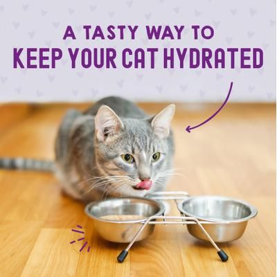 Alimento Húmedo Carnivore Cravings Savory Shreds para Gato 24 pack