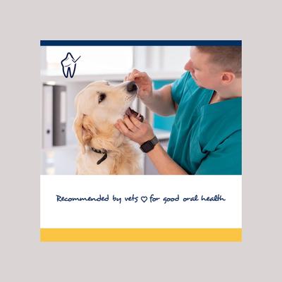 ProDen, PlaqueOff Soft Chews Dogs Large & Giant, A.N ProDen, 45 / 90 masticables.