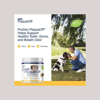 ProDen, PlaqueOff Soft Chews Dogs Small & Medium, A.N ProDen, 45 / 90 masticables.