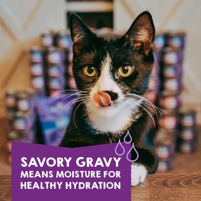 Alimento Húmedo Carnivore Cravings Morsels N Gravy para Gato 12 pack Atún y caballa