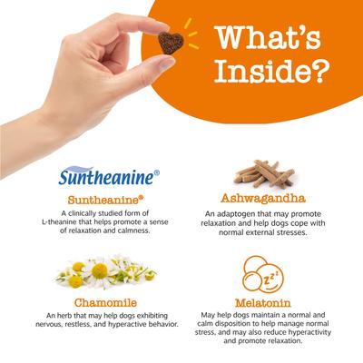 Advanced Calming Bites con Melatonina y Hemp para Perros sabor Pavo 3 presentaciones