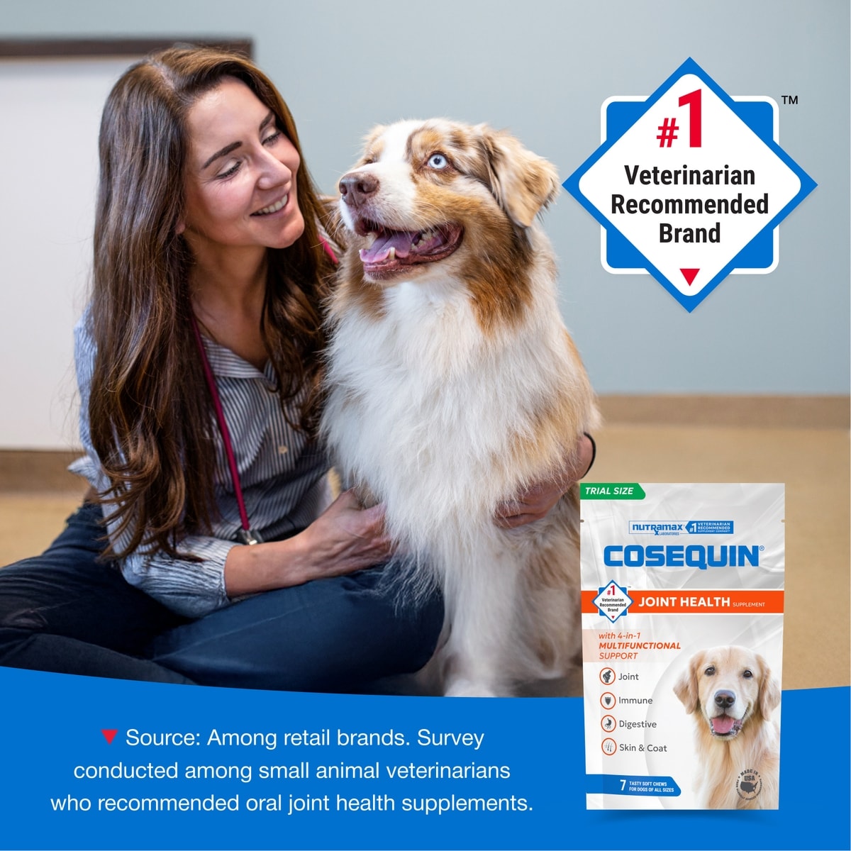 Cosequin Multifunctional Support, presentación de prueba de 7 masticables para perros (imagen comercial de Chewy)