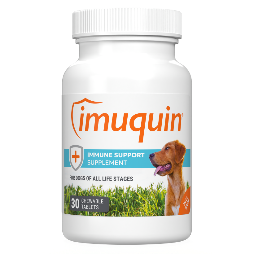Nutramax Imuquin Immune Support, 30 tabletas masticables para perros