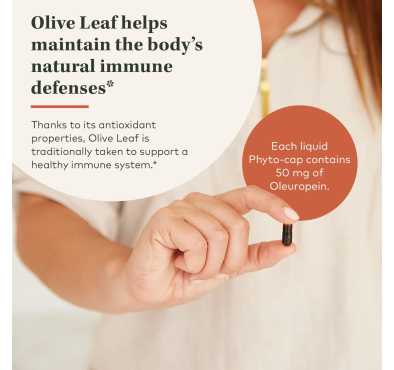 Olive Leaf soporte Inmunológico, 120 caps líquidas veganas