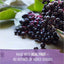 Elderberry Soporte Inmune, Echinacea, Zinc, Vitamina C. 120 Gomitas